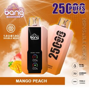 Bang 25000 Puffs Disposable Vapes - 30ml Ejuice, Dual Mesh Coil, Rechargeable, Fruit Flavors