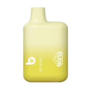 Bang Bc5000 Metallic Disposable Vape Pod - 5000 Puffs, Rechargeable, FDA Certified, Fruit Flavors