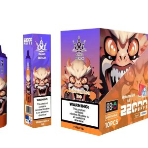 Bang Beach 22000 Puffs Disposable Vape Pen - FDA Certified, Fruit Flavors, Rechargeable EGO Vaping Device