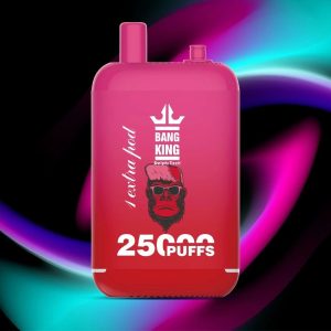Bang King 25000 Puff Double Pods Disposable Vape Pen with 23ml Flavor & Type C Charging