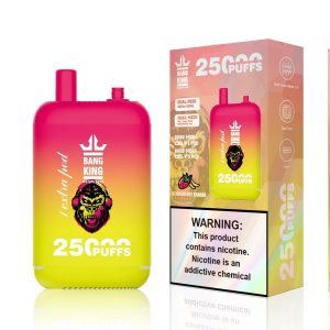 Bang King 25000 Puffs Double Pods Vape - High Quality Disposable E-Cigarette, 23ml x 2, Type-C Charging