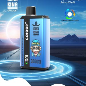 Bang King Advanced Disposable Vape 30000 Puffs LCD Display 36ml E-Liquid 550mAh - 12 Fruit Flavors