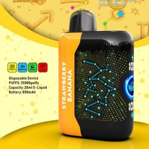 Bang King Starry 25000 Disposable Vape - 28ml Fruit Flavors, 800mAh, 25000 Puffs, CE Certified