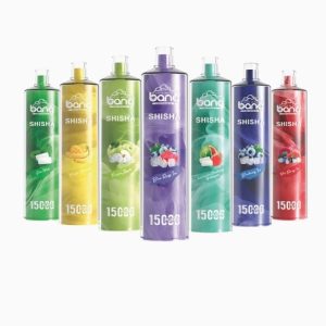BANG XXL Shisha 15K Disposable Vape - 15000 Puffs, Rechargeable, Mesh Coil, 12 Flavors, 25ml
