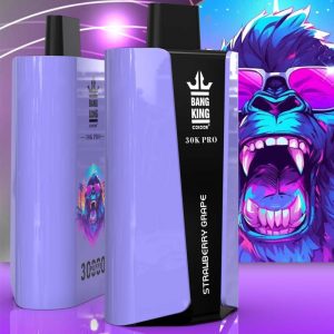Bang30K PRO Disposable Vape 30000 Puffs, 36ml, Mesh Coil, Rechargeable, Fruit Flavors, Wholesale
