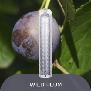 CKS 3500 Puffs Rechargeable Mesh Coil Disposable Vape with 650mAh Battery & Type-C Charging - Fruit Flavors