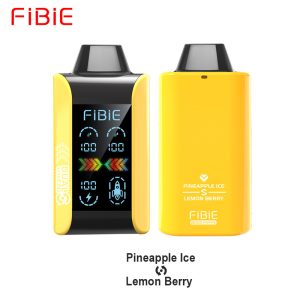 FIBIE 15000 Puffs Disposable Vape with Mesh Coil, 5% Nicotine, 18ml, Rechargeable, Fruit Flavors