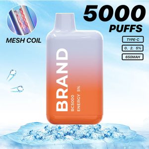 Hidi Hot Wholesale OEM ODM 5000 Puff Rechargeable Vape - 12 Flavors, Type-C, Mesh Coil, FDA Certified