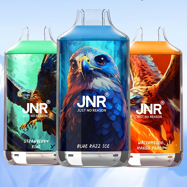 JNR Falcon 16K Disposable Vape 16000 Puffs with LED Display, 22ml Tank, Adjustable Airflow, Fruits Flavor - Image 2