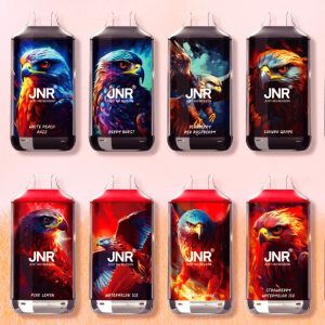 JNR Falcon 16K Disposable Vape 16000 Puffs with LED Display, 22ml Tank, Adjustable Airflow, Fruits Flavor
