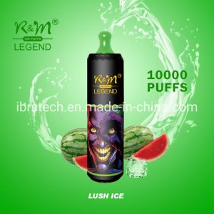 R&M Legend 10000 Puff Type-C Rechargeable Disposable Vape with Mesh Coil & Fruit Flavors