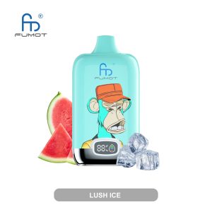 Randm Digital Box 12000 Puffs Vape - Disposable E-Cigarette with High Nicotine, Fruit Flavors, 850mAh Battery