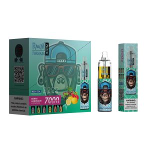RandM Tornado 7000 Disposable Vape with 56 Fruit Flavors, 6000 Puffs, RGB Light & Logo Printing