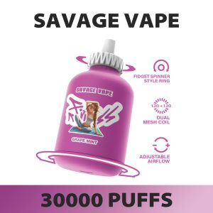 Savage Fitness 30000 Puffs Disposable Vape - High Nicotine, Fruit Flavors, EU Warehouse, Wholesale