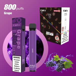 Shenzhen Wholesale Bang XXL Disposable Vape Pod 800 Puffs 5% Nicotine 550mAh Battery Fruit Flavors