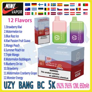 UZY Bang BC5000 Disposable Vape Pen 5000 Puffs, Rechargeable, 12ml, 12 Flavors, Customizable