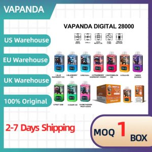 Vapanda Digital 28K Disposable Vaporizer - 12 Flavors, Mesh Coil, 29ml E-Liquid, 600mAh Battery