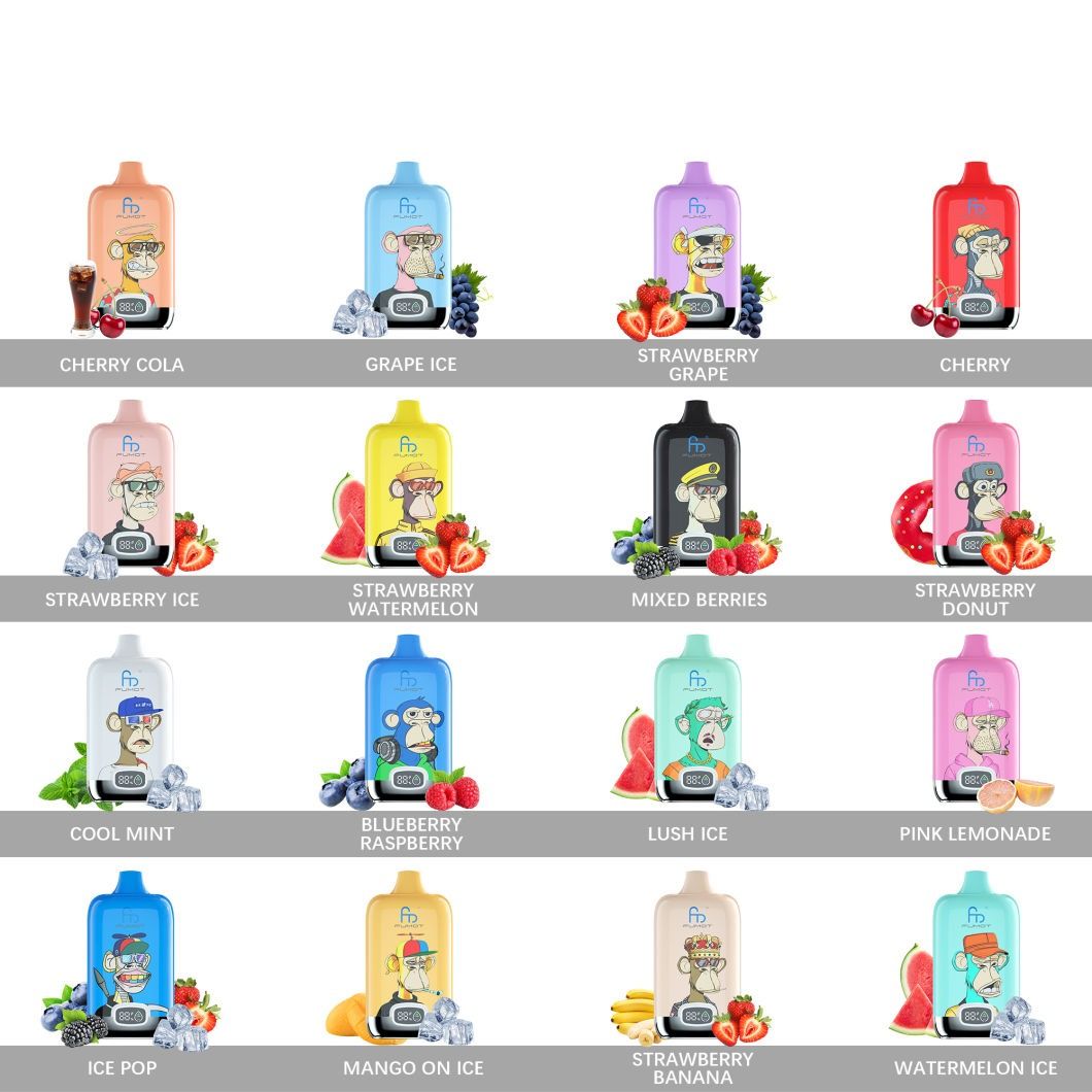 Vapsolo Disposable E Hookah Vape 12000 Puffs, Low Nicotine, Fruits Flavors, FDA CE Certified, Wholesale - Image 2