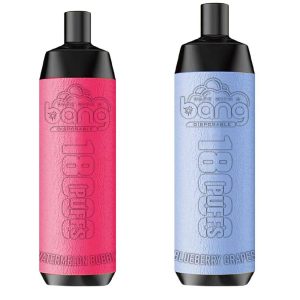 Wholesale Disposable Vape Pen 18000 Puffs Bangpi E Cigarette 18ml Rechargeable 650mAh with Nicotine Salt