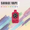 Wholesale Disposable Vape Savage Camera 18000 Puff E-Liquid 28ml, FDA Certified, VAPANDA, EU Warehouse
