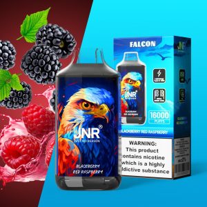 Wholesale Jnr Falcon 16000 Disposable Vape 16K Puff, Fruit Flavors, 22ml E-Liquid, 850mAh, Custom Logo