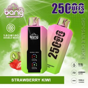 Bang 25000 Puff Double Mesh Coil Vape - Disposable, 30ml, Fruit Flavors, FDA Certified, Type-C Charging