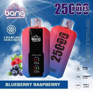 Bang 25000 Puffs Disposable Vape Pen - Dual Tank, Mesh Coil, 25ml, Rechargeable, 12 Flavors, 650mAh