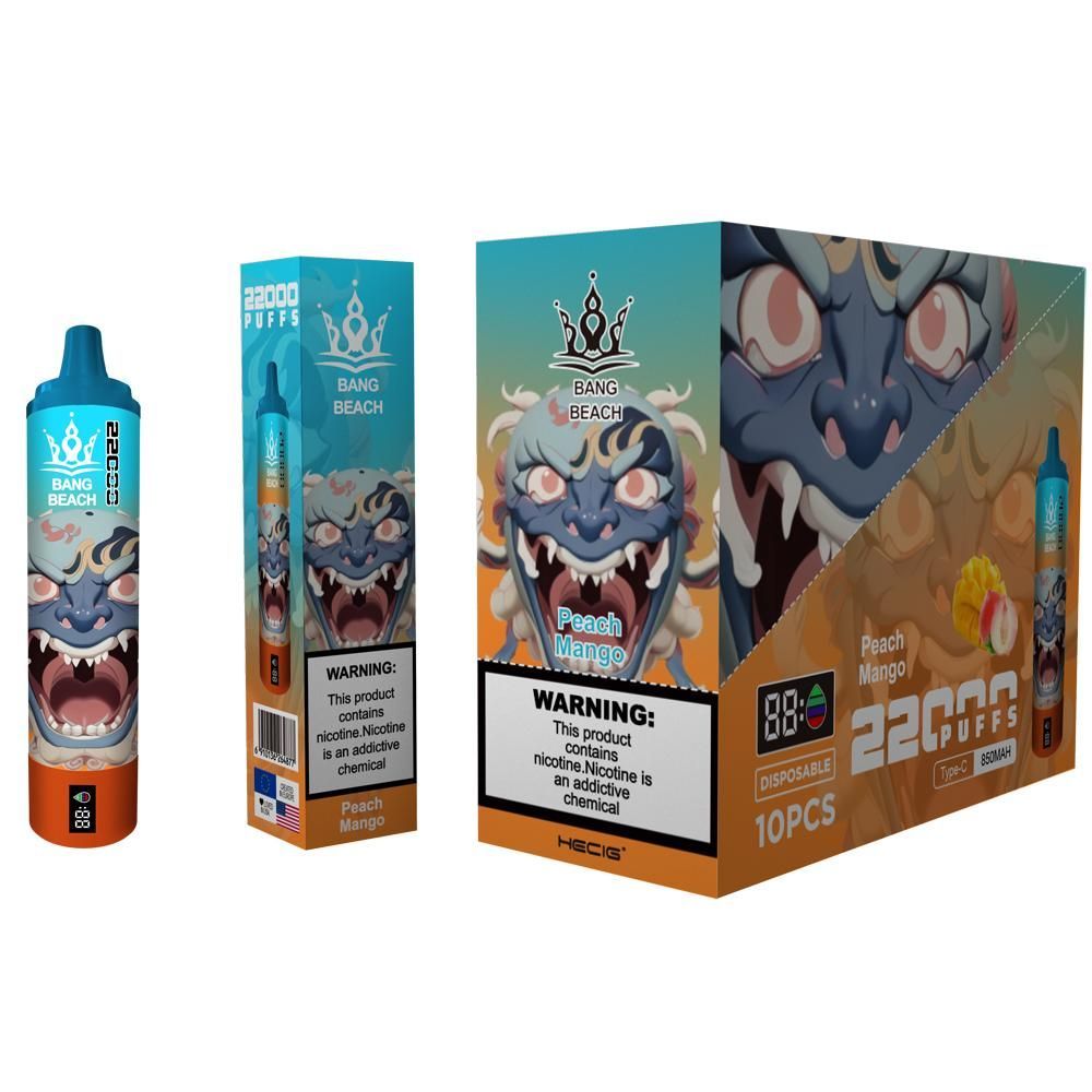 Bang Beach 22000 Puff Disposable E-Cigarette - 12 Flavors, 36ml Liquid, 850mAh, Low Nicotine