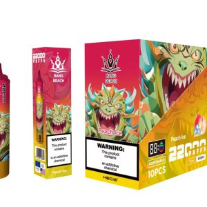 Bang Beach 22000 Puffs Disposable Vape Pen with Smart Screen, 850mAh Battery, & Mesh Coil - Wholesale