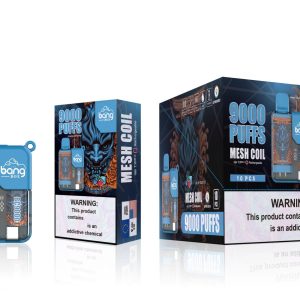 Bang Box 9000 Puff Disposable E-Cigarette Vape - Rechargeable, 10 Flavors, Customizable with FDA & CE Certification