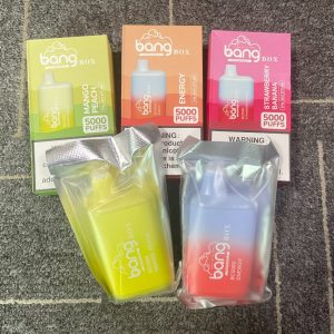 Bang Box BC 5000 Puffs Vaporizador Desechable - Tipo EGO, Carga Inalámbrica, Sabores Frutales, Certificado FDA