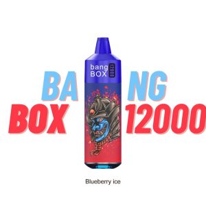 Bang Box Puff 12K Disposable Vape Pen - 12000 Puffs, Rechargeable, 2% 3% 5% Nicotine, Fruit Flavors