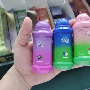 Bang King 12000 Disposable E Cigarettes with 650mAh Battery & 22 Fruit Flavors – 9K-20K Puff, CE/ROHS Certified