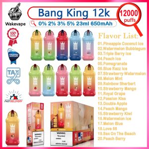 Bang King 12000 Puff Disposable Vape Pen - 23ml E-Liquid, Mesh Coil, Rechargeable Type C, Fruit Flavors