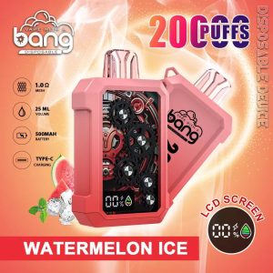 Bang King 20000 Puffs Disposable Vape Pen with Rechargeable 500mAh Battery & Fruit Flavors | Wholesale E-Cigarettes