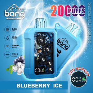 Bang King 20K Vape Disposable E-Cigarette 20000 Puffs - Fruits Flavor, Stainless Steel, FDA Certified