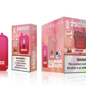 Bang King 25K Puffs Dual Pods Disposable E-Cigarettes - 12 Fruit Flavors, High Nicotine, OEM Vape
