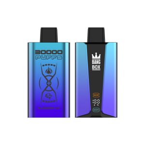 Bang King PRO 30000 Puffs Vape Pen | Disposable Electronic Cigarette with Dual Flavors & Smart Display