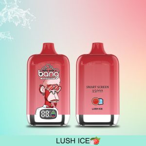 Bang Smart Screen 15000 Puffs Disposable Vape Pen, 25ml E-Liquid, Type-C Charging, Fruit Flavors