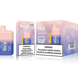 Bangbox BC5000 Disposable Vape Electronic Hookah Shisha 13ml Refillable, Fruit Flavors