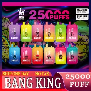 Bang King 25000 Puffs Einwegvapes in Bulk kaufen - Europa Lager, drahtloses Aufladen, 12 Fruchtaromen