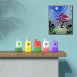 Customizable 7000 Puff Disposable Vape Pod, 10ml, Mesh Coil, 550mAh Battery, Multiple Nicotine Strengths