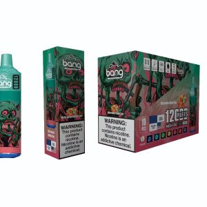 Customized Bang Box E-Cigarette - 12000 Puffs, Fruit Flavors, OEM/ODM, Disposable, Metal Atomizer