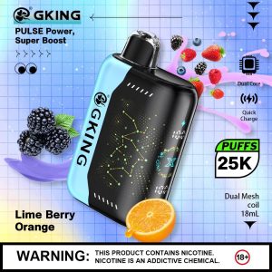 Gking 25000 Puffs Disposable Vape - 5% Nicotine, 18ml Capacity, 15 Flavors, Type C Charging, FDA Certified