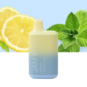 Jan King BC 5000 Disposable Vape 5K Puffs, 650mAh, 13ml, Fruit Flavors, Rechargeable, Type-C, 5% Nicotine