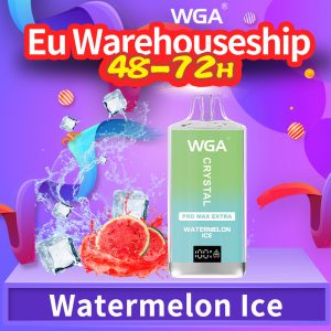 Merry Mi Insta 15K Dual Flavor Disposable Vape Pen 10K Puffs 15 Flavors EU Warehouse Wholesale