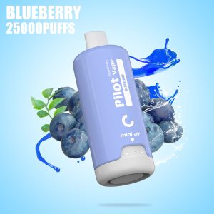 Pilot G10 25000 Puffs Disposable Vape Pod with 28ml Capacity, 30mg Nic Salt - EU Warehouse