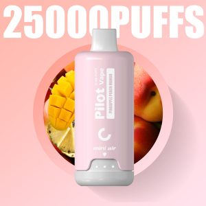 Pilot G10 25000 Puffs Disposable Vape Pod with Fruits Flavor - EU Warehouse, FDA Certified