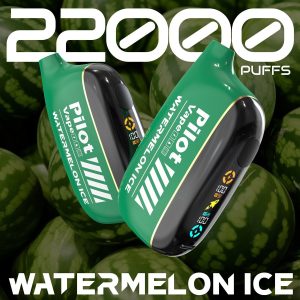 Pilot Vape Star Bar 22000 Puffs Disposable Vape, 26ml Capacity, FDA Certified, Fruit Flavors, Fast EU Delivery