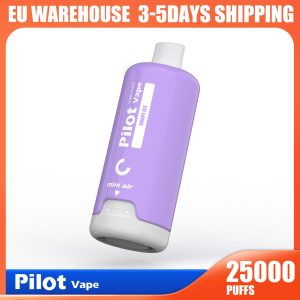 Pilotvape 25K Disposable Vape 25000 Puffs 30mg Nic Salt 28ml EGO Pod with Fruit Flavors - FDA Certified
